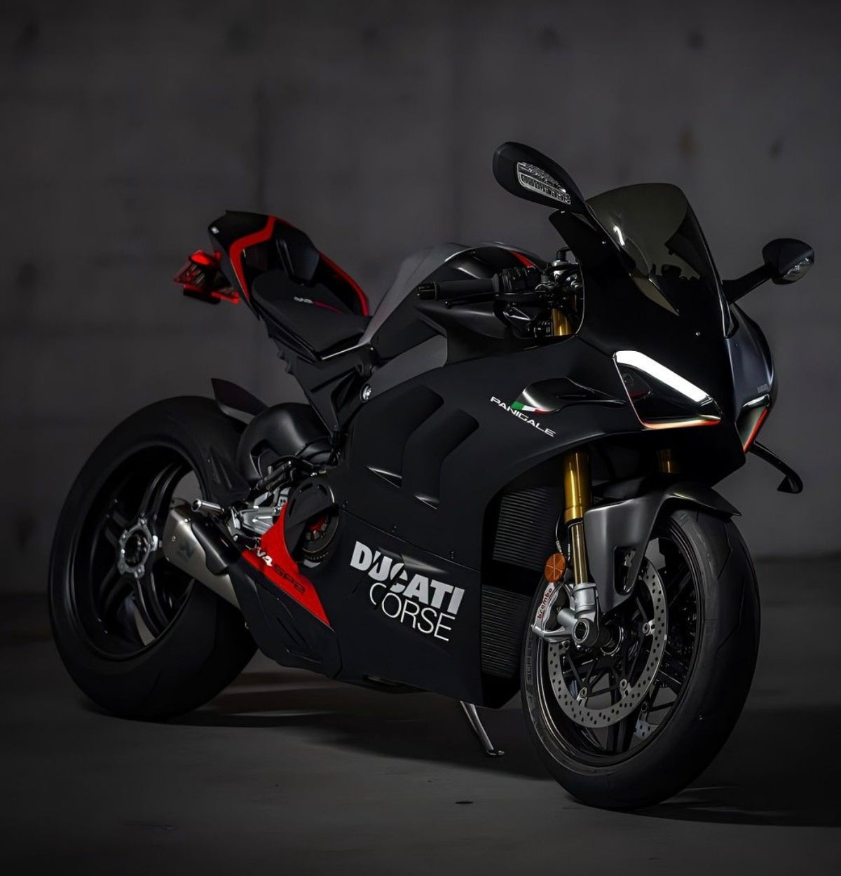 Panigale V2/V4
